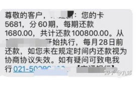 白城为什么选择专业追讨公司来处理您的债务纠纷？